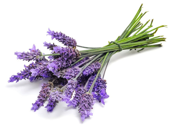 Dried Lavender Buds 100g