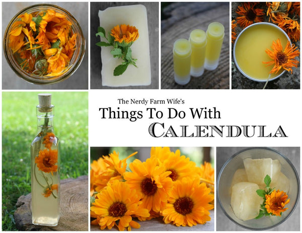 Things To Do with Calendula (FREE eBook) by Jan Berry