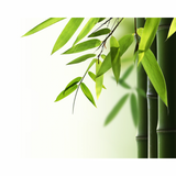 Fresh Bamboo 100g