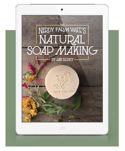 The Nerdy Farm Wife's Natural Soap Making by Jan Berry